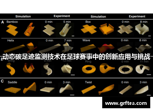 动态碳足迹监测技术在足球赛事中的创新应用与挑战