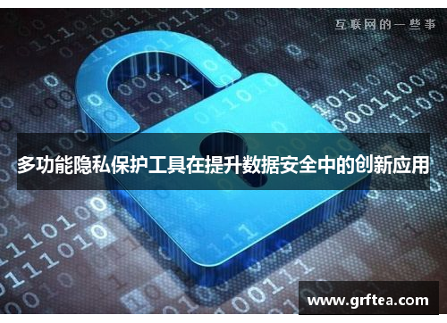 多功能隐私保护工具在提升数据安全中的创新应用